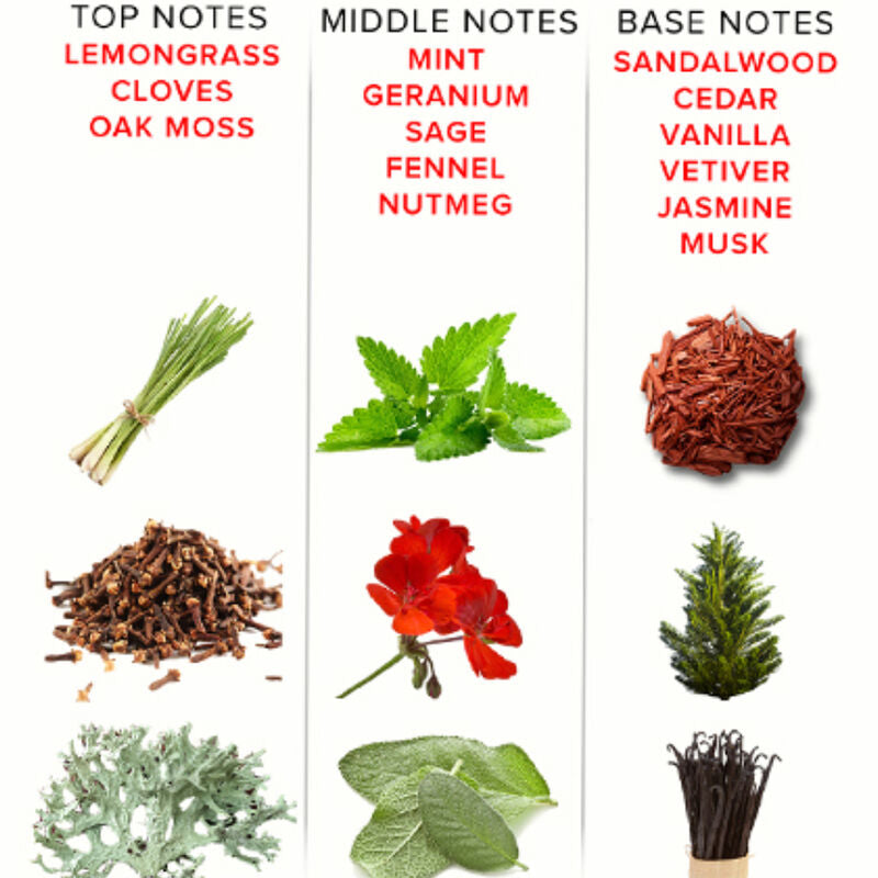 EYE OF LOVE- Perfume de feromonas DELUXE 50 ML - ROMANTIC - sentimentosocultos