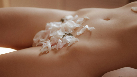 Rumo ao prazer - A arte da auto exploração - sentimentosocultos