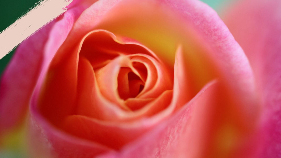 Clitóris: o segredo mais sensível do corpo feminino